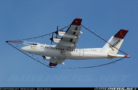 1174834.jpg