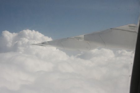 IMG_5537.jpg