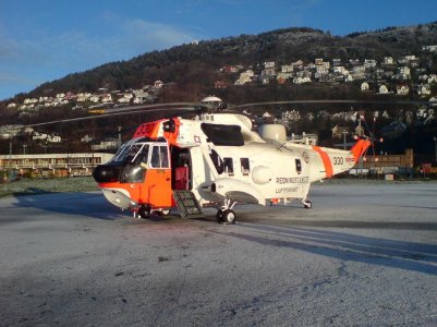Seaking_330_a_14-01-2009_.jpg