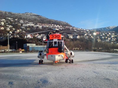 Seaking_330_b_14-01-2009_.jpg