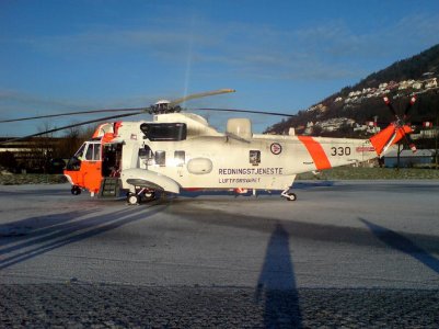 Seaking_330_c_14-01-2009_.jpg