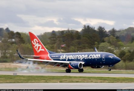 129736.jpg