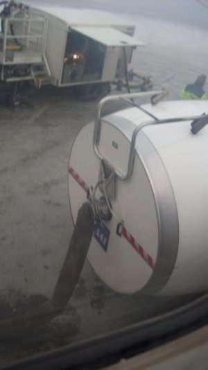 SDC12278.jpg