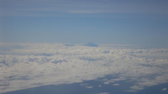 SDC12335.jpg