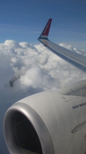 SDC12343.jpg