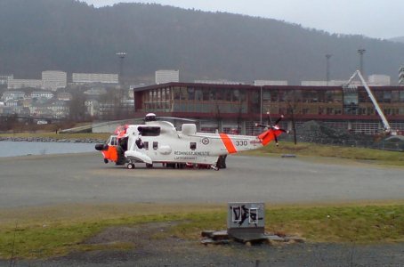 Seaking_330_b_28-01-2009_.jpg