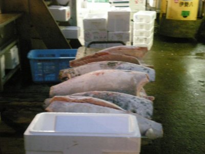 Japan 2009 057.jpg