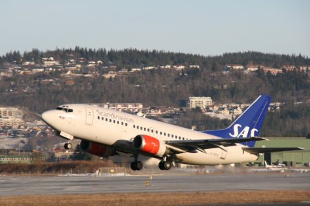 LN-BRO1.JPG