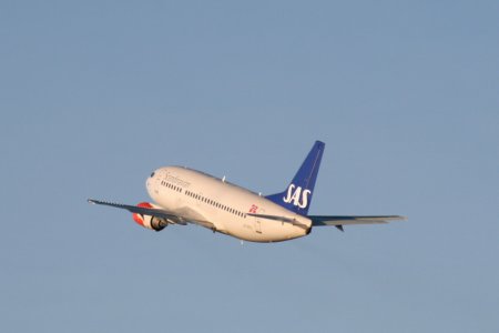 LN-BRO3.JPG