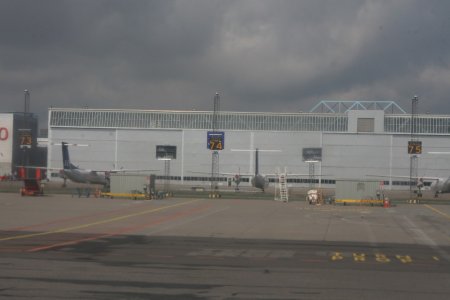 IMG_5556.jpg