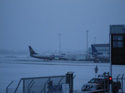 IMG_3395.jpg