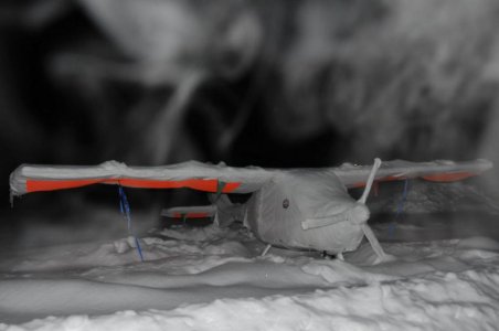 LN-YLARDSC8024.jpg