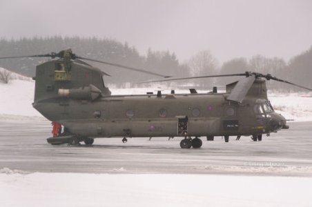 Chinook2 15feb09.jpg