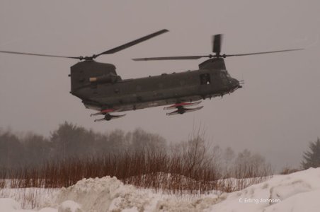 Chinook4 15feb09.jpg