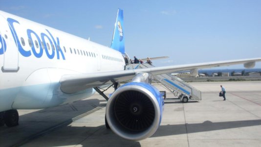 SDC12482.jpg