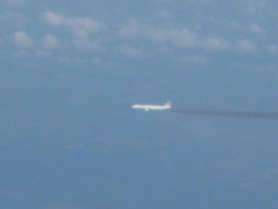 IMG_3460.jpg