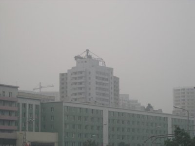 P1010697.jpg