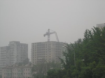 P1010154.jpg