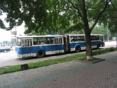 P1010426.jpg