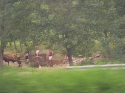 P1010294.jpg