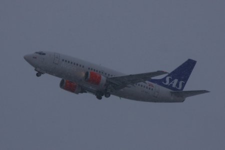 IMG_9695_2.jpg