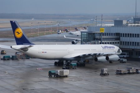 LH A343 D-AIFE DUS ground.jpg