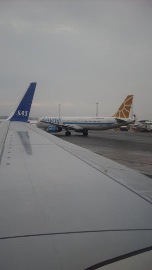 SDC12507.jpg