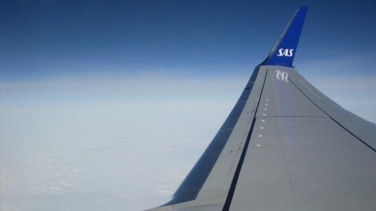 SDC12516.jpg