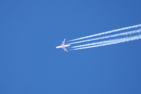 IMG_0691_2.jpg