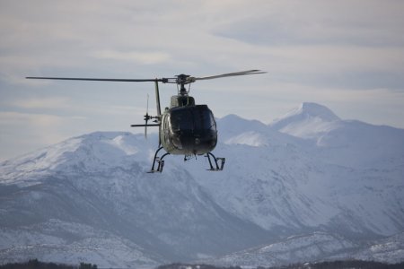 fenec2-(1-of-1).jpg