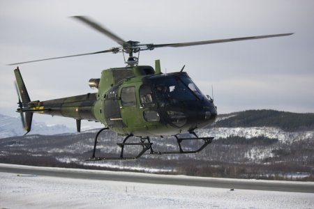fenec-(1-of-1).jpg