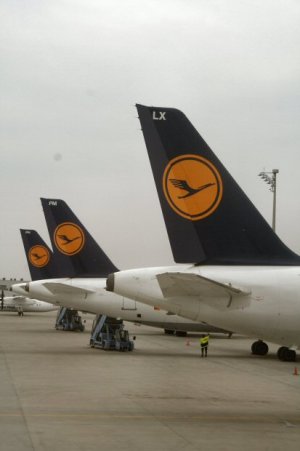 LH_Tail.jpg