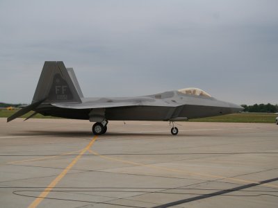 raptor.jpg
