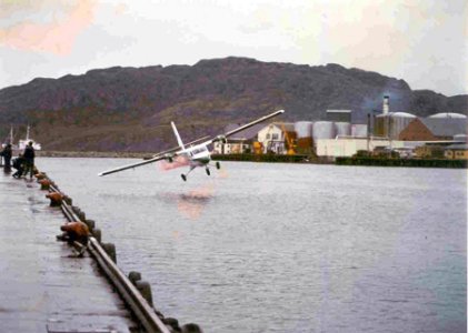 twinottere_forurensning2 LN-BNS.jpg