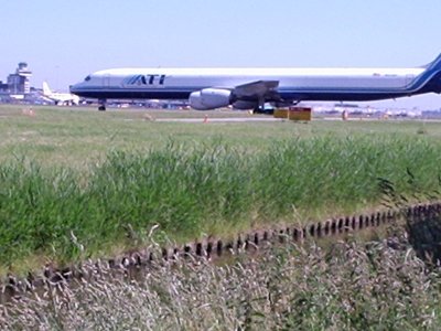 P1020006.JPG