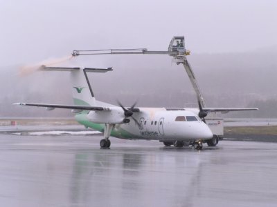 P5160177 edited.jpg