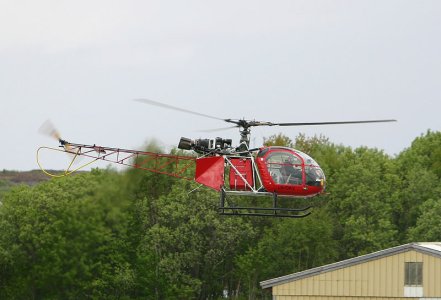 LN-OKV_.jpg