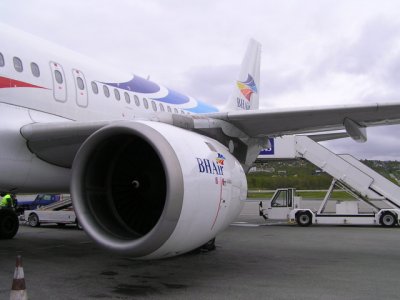 P5310154 edited medium.jpg