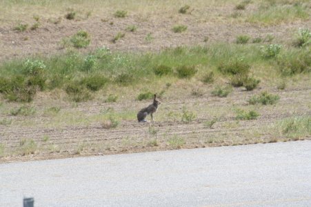 IMG_0405.JPG