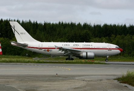 A310_a_.jpg