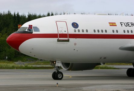 A310_c_.jpg