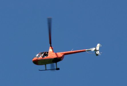 Robinson_LN-Oxx_29-06-2006_small_.jpg