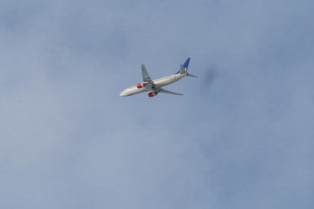 IMG_0048.jpg