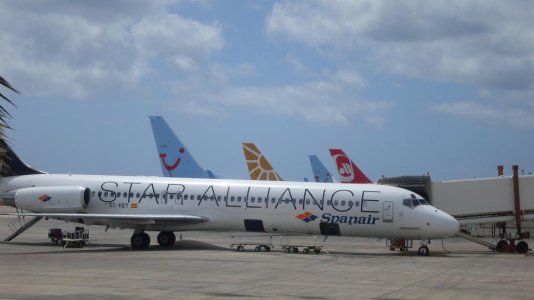 SDC12756.jpg