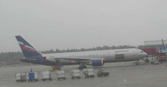 767.jpg