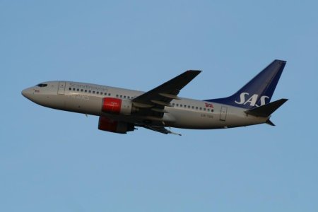 IMG_0374.jpg