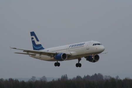 IMG_0293.jpg