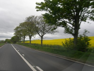 DSCN5968.JPG