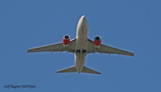 sk1486-1.jpg