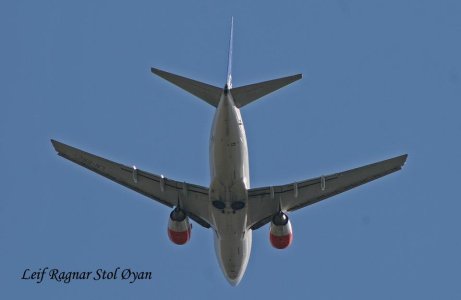 sk1486-3.jpg